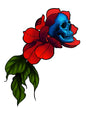 Neocalavera azul